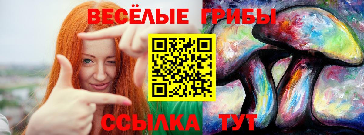 Донецк  хочу наркоту  Вход с VPN  Псилоцибиновые грибы MAGIC MUSHROOMS 