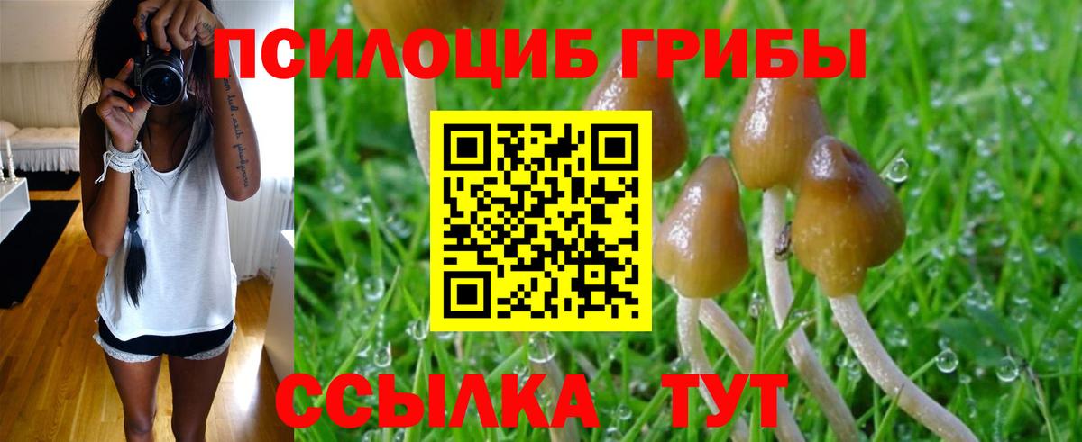 Псилоцибиновые грибы Magic Shrooms Донецк